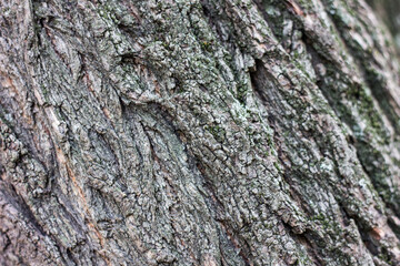 Textures. Things we usually don't notice.