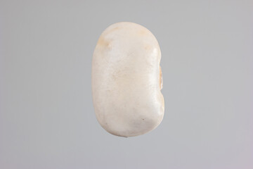 Uncooked whole dried large white bean macro close up shot front view isolated on gray