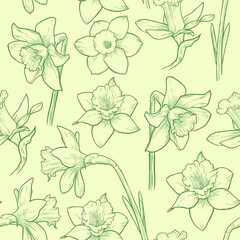 Light green floral seamless pattern. Hand drawn daffodils vector illustration.