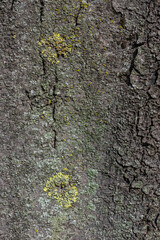 Textures. Things we usually don't notice.