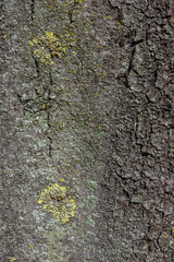 Textures. Things we usually don't notice.