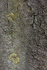 Textures. Things we usually don't notice.