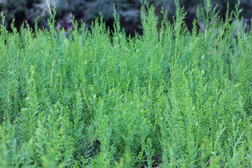 Textures. Things we usually don't notice.