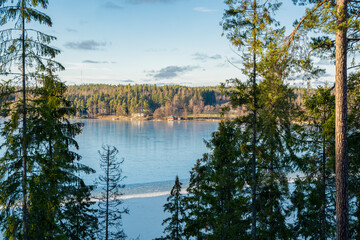 View to the forest and frozen Lake Vittrask, Kirkkonummi, Finland