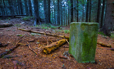 old border post in a wet misty forest
