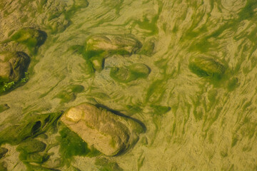 The Merse River near the village of Murlo, Siena Province, Tuscany, Italy
