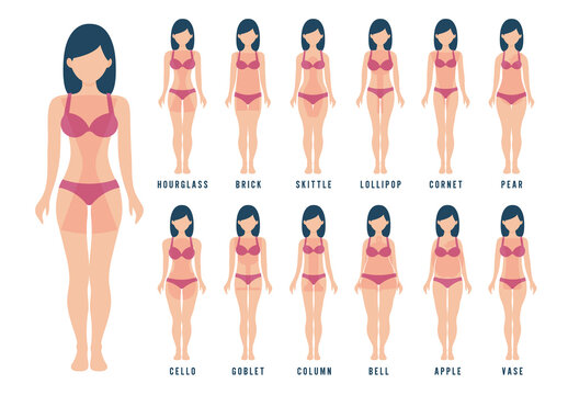 Female body shape types: apple, pear, hourglass, brick, column, cello, bell, skittle, lollipop, cornet, goblet, vase. Vector illustrations, flat style isolated on a solid background