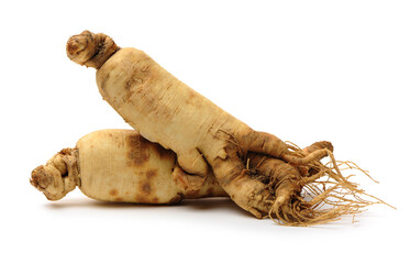 Ginseng roots on a white background