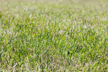 Textures. Things we usually don't notice.