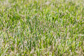 Obraz premium Textures. Things we usually don't notice.