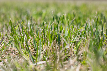 Textures. Things we usually don't notice.