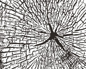 Grunge texture of old tree. Vecror stock illustration. EPS 10