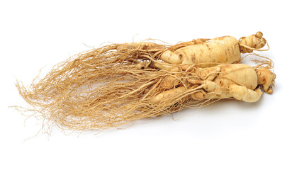 Ginseng roots on a white background