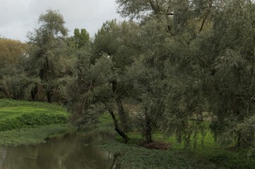 Bordée par une végétation luxuriante, cette retenue d'eau existe grâce au Gave de Pau tout...