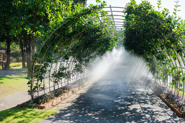 Steel structure tunnel Made for ornamental plants and to release cool steam to maintain temperature.