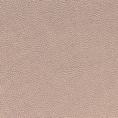 Fototapeta premium Natural leather background, fine-grained close texture, Beige color. 3D-rendering