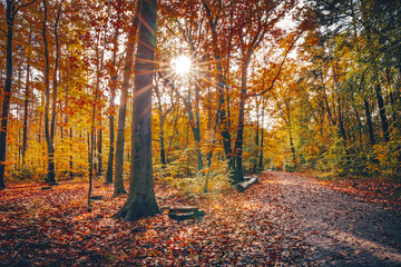 Ostseebad Kühlungsborn im Herbst