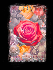 Big rose print with floral design