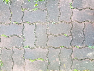The pavement is lined with bricks, neatly arranged, clean and safe to travel.