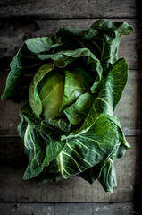Raw young cabbage