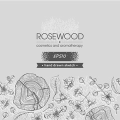 Background with cut of a Rosewood and twigs with flowers and buds. Detailed hand-drawn sketches, vector botanical illustration.