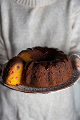 pumpkin cake with chocolate chips and cranberry