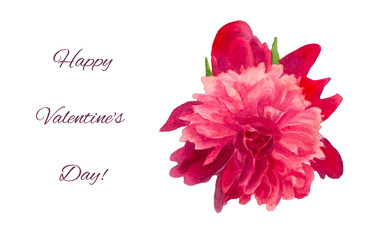 Happy Valentines day Card. Love. Day of heart.Peony, petals. Pink blooming flower with white background,isolated. card for her, valentines day, greeting card, invitation, wedding. Flora.