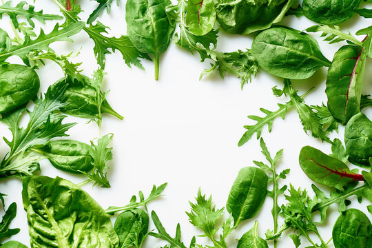 Romaine, arugula, spinach and mizuna leaves flatlay