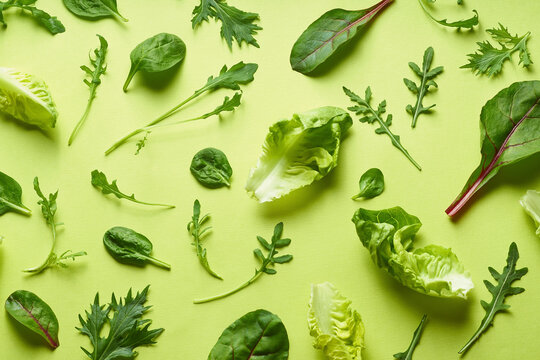 Romaine, arugula, spinach and mizuna leaves flatlay