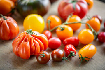 Various types of tomatoes