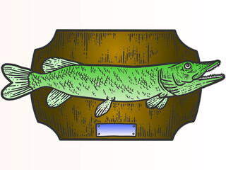 Fishing trophy stuffed fish, northern pike. Apparel print design. Scratch board imitation. Color hand drawn image.