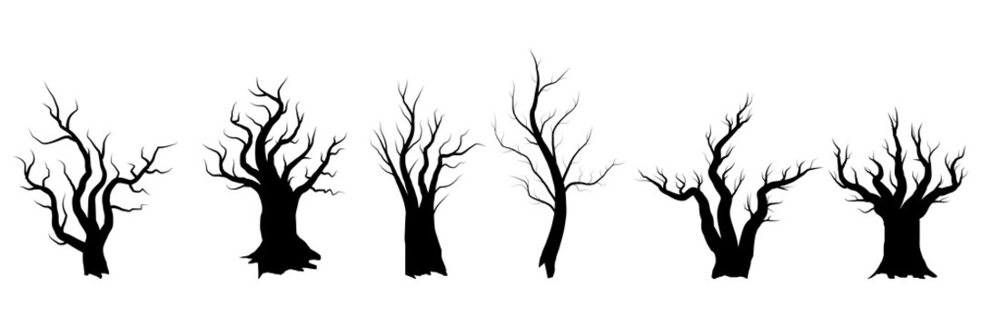 Set of naked trees on white background. Silhouette of wooden trunk and branches. Vector illustration.