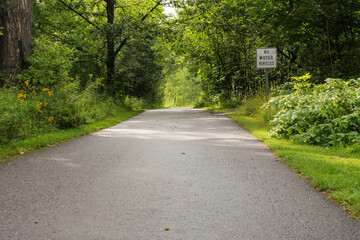 path in the park