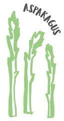Asparagus hand painted with ink brush isolated on white background