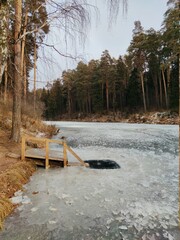freezing ice hole for swimming on the lake near the pine forest