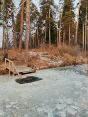 ice hole for swimming in the lake near the pine forest