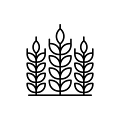 Wheat Burry  Outline illustration style Icon. EPS File 10