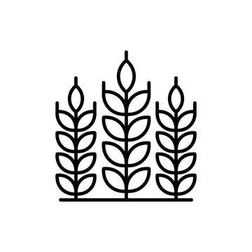 recommend clip art: Wheat Burry  Outline illustration style Icon. EPS File 10