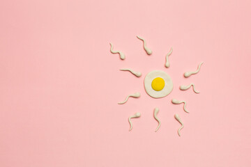 Fertilization concept, plasticine model of egg cell and sperm
