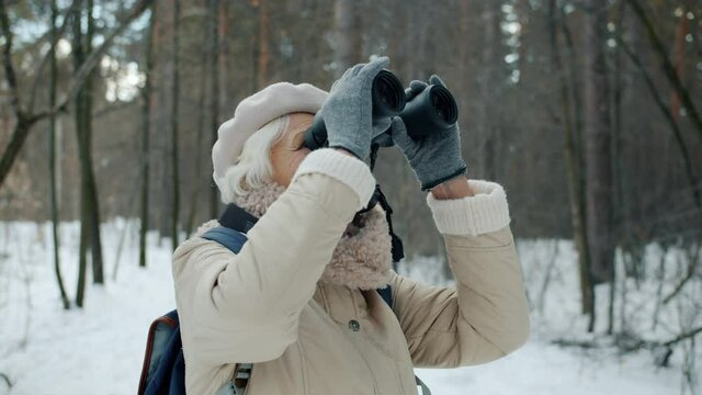 Senior woman tourist is watching wildlife through binoculars during walk outdoors in forest alone. Beautiful nature and winter tourism concept.