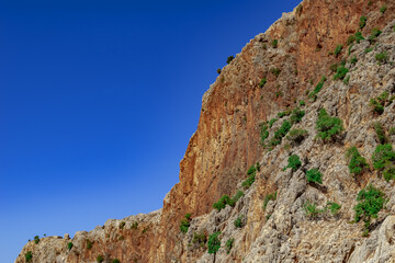 Mountain with a steep cliff and trees growing on the slope. Natural brown and blue background with copy space