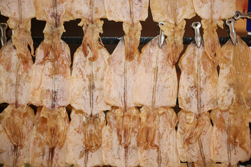 Row of Sun Dried Squid Clipping on a Hanger