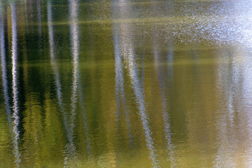 Abstract background of tree trunks blurred on the river surface.