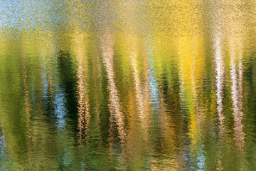 Abstract background of tree trunks blurred on the river surface.