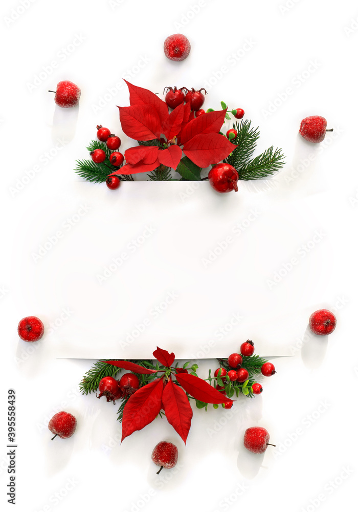 Wall mural christmas decoration. frame of flowers of red poinsettia, branch christmas tree, apple, red berry wi