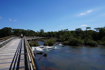 bridge over river in the forest