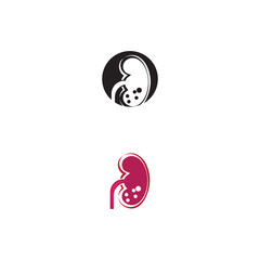 kidney vector illusrtation design logo template