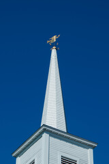 Fototapeta na wymiar Church steeple and weather vane of bird with grass 