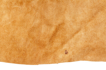 Piece of brown leather