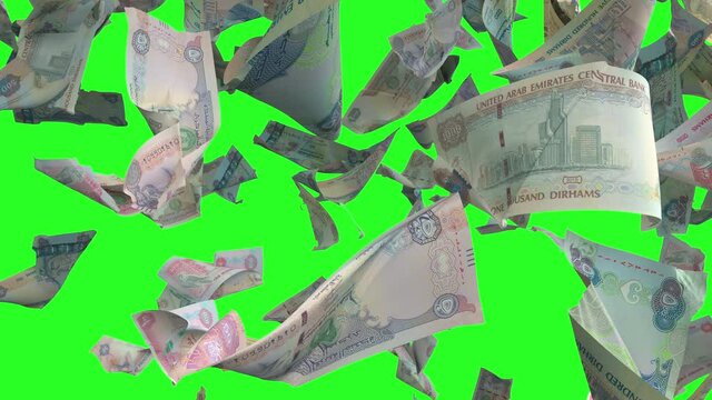 Falling Dirham UAE United Arab Emirates banknotes on Chroma key 4K Loopable